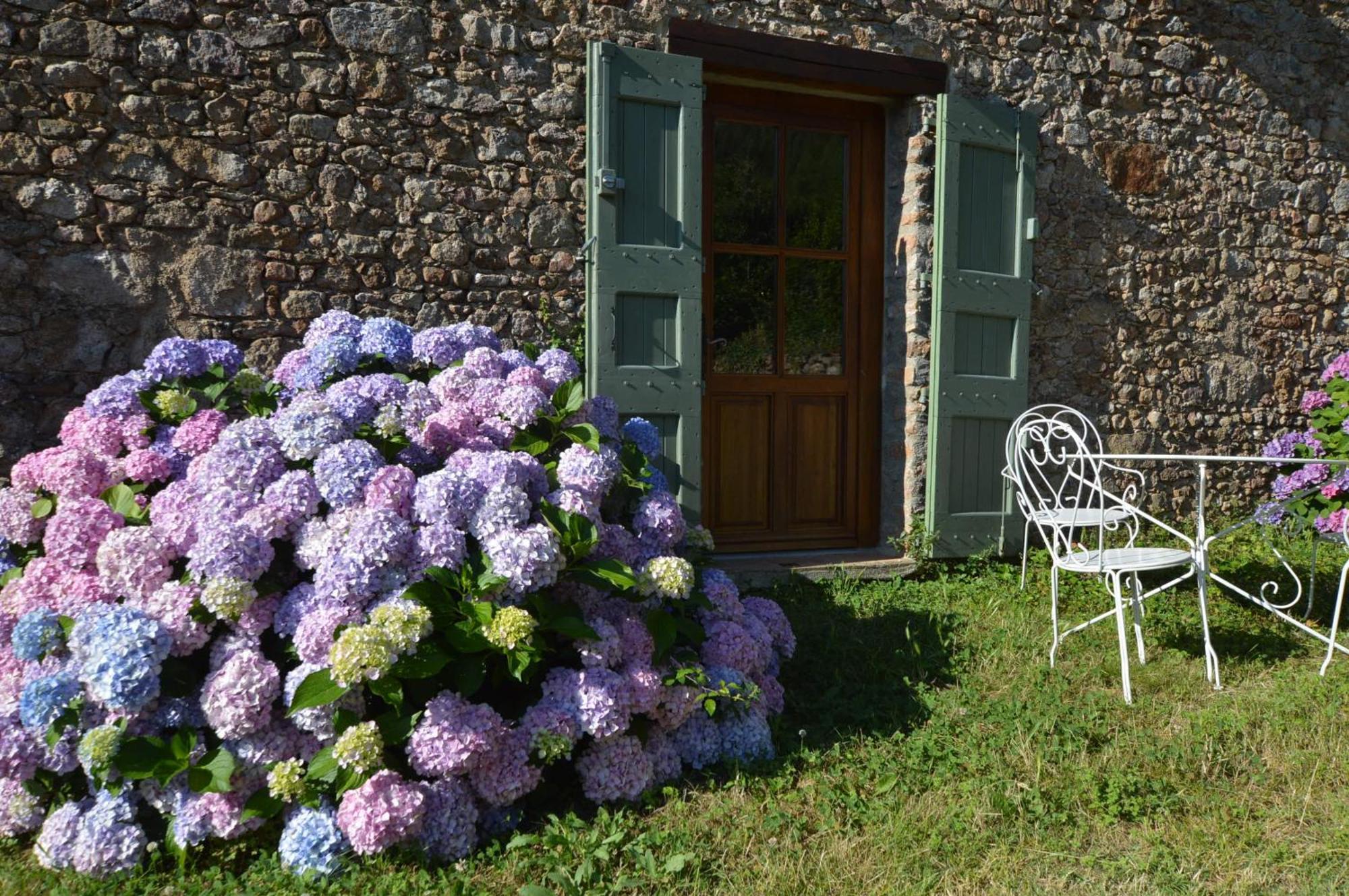 Mas Des Druilles Bed & Breakfast Generargues ภายนอก รูปภาพ